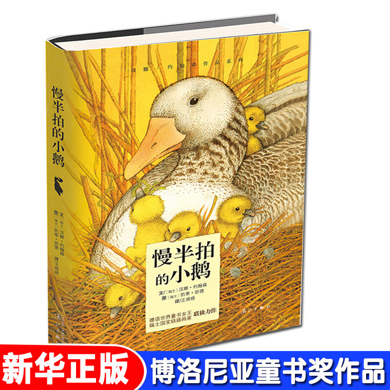 慢半拍的小鹅无王晓晓译者少儿儿童文学书漓江出版社儿童6-12周岁小
