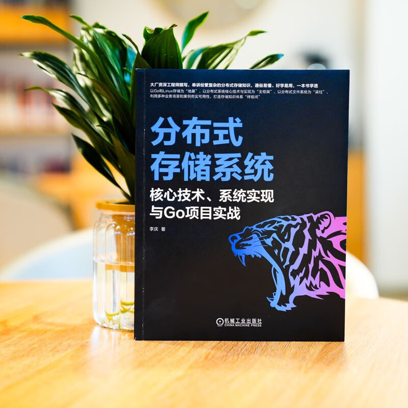分布式存储系统：核心技术、系统实现与Go项目实战详情图