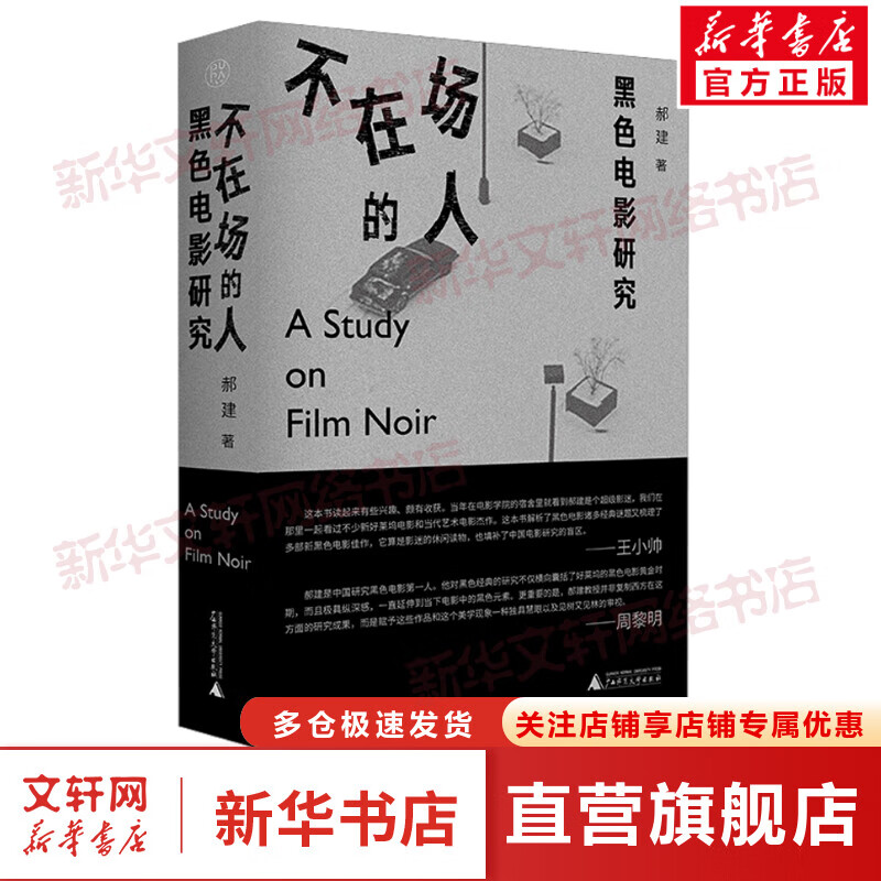 不在场的人 黑色电影研究 郝建 广西师范