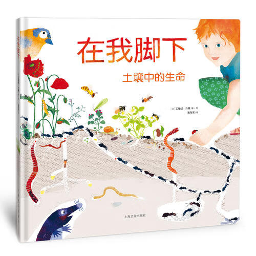 在我脚下【正版好书】