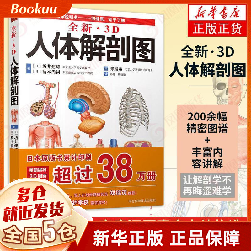 全新3D人体解剖图 人体肌肉解剖运动解剖学断层局部解剖学图谱解剖书教材卫生解剖生理学专业基础医学书医