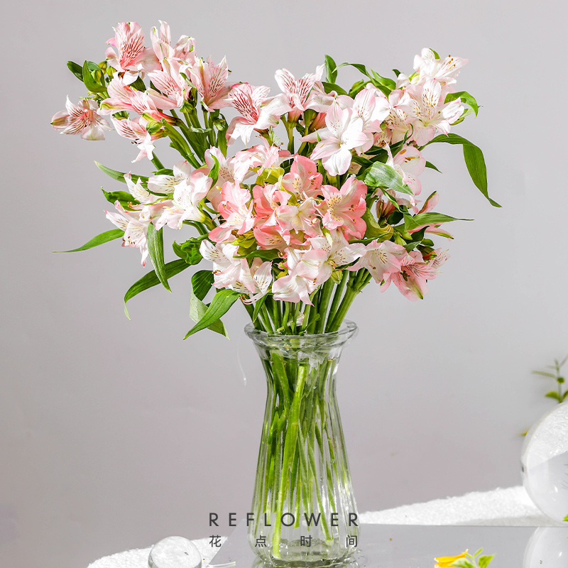 花点时间鲜花玫瑰花束云南昆明基地直发百合向日葵送女友生日礼物 六出花10枝单色随机高性价比高么？
