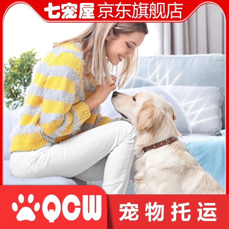 宠物托运服务全国狗猫快递上门宠物专车空运 随机运输 40.1-80kg