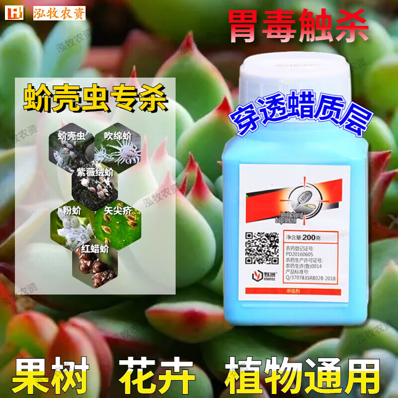 蚧壳虫药介专用吡蚜虫噻嗪酮柑橘果树农药杀除虫剂多肉花卉蚧必治 200