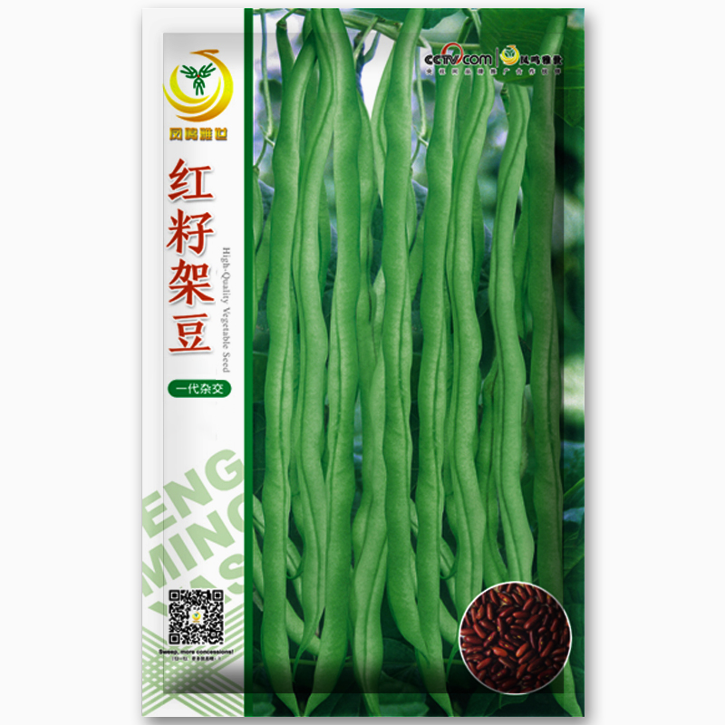 泰国无筋架豆种子长芸豆菜豆青豆高产春季秋冬四季菜种子盆栽豆角籽