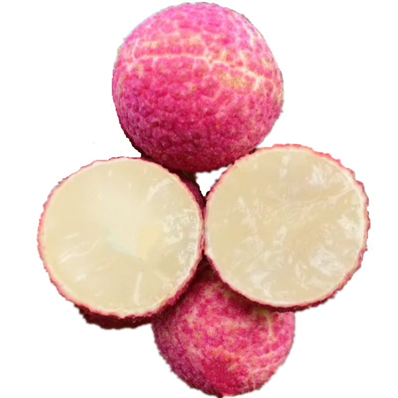 (顺丰速运 /精美礼盒装)海南无核荔枝 澄迈陆桥头无籽荔枝火山岩香甜