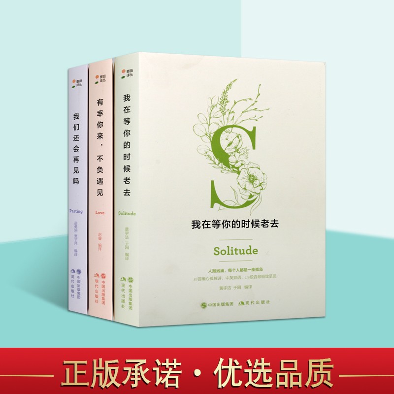有幸你来不负遇见 我在等你的时候老去 我们还会再见吗 中英双语 蔷薇译丛 全3册 解忧诗集