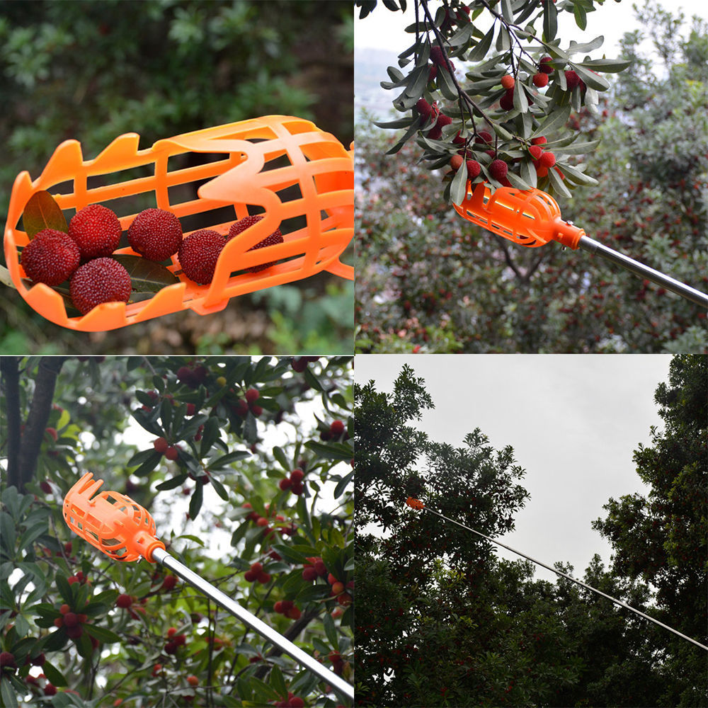 秋颖摘果器 果园摘杨梅高空摘水果工具 采摘桃子工具 不带杆 园艺工具