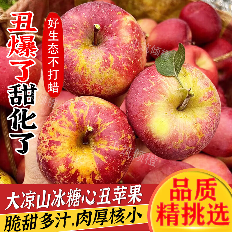 小筑傾橙四川大涼山冰糖心丑蘋果鹽源脆甜蘋果紅富士當(dāng)季時(shí)令年貨整箱 5斤中果優(yōu)選裝