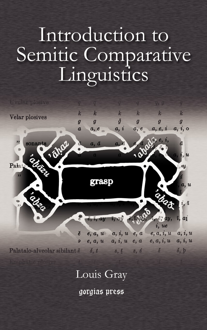 【预售 按需印刷】introduction to semitic comparative linguistics