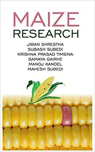 【预订】maize research