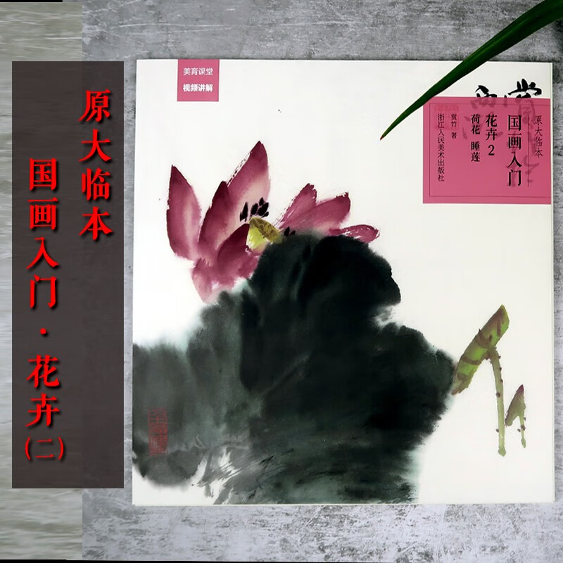 荷花睡莲) 原大原色临本初学者国画入门视频基础教程书写意水墨画步骤