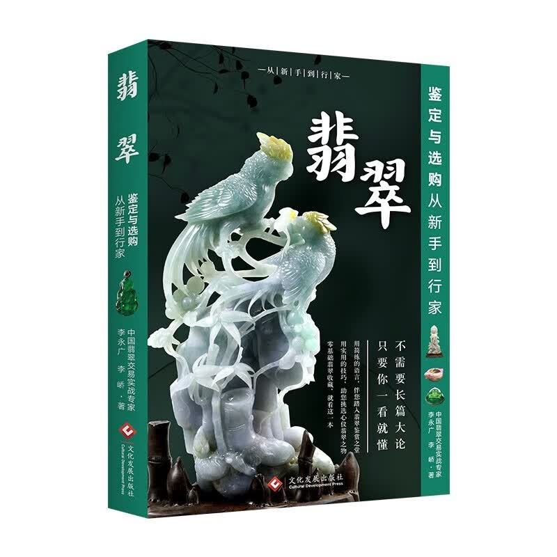 翡翠鉴定与选购从新手到行家 翡翠鉴定书籍 翡翠收藏与鉴赏赌石 玉石入门知识百科图书 鉴宝翡翠书