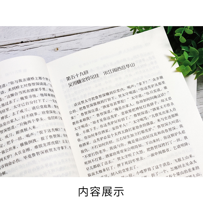 水浒传（上下全2册）