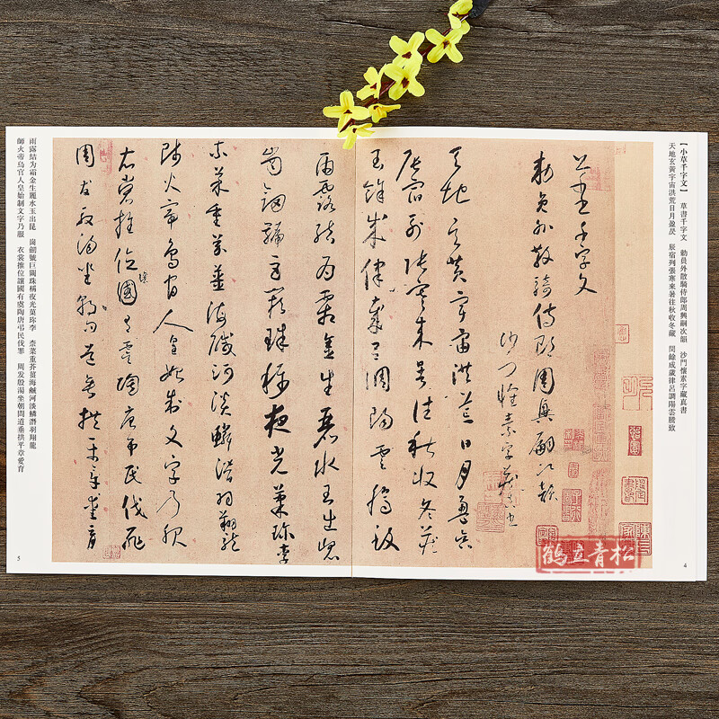 唐怀素小草千字文大草千字文 草书毛笔书法字帖