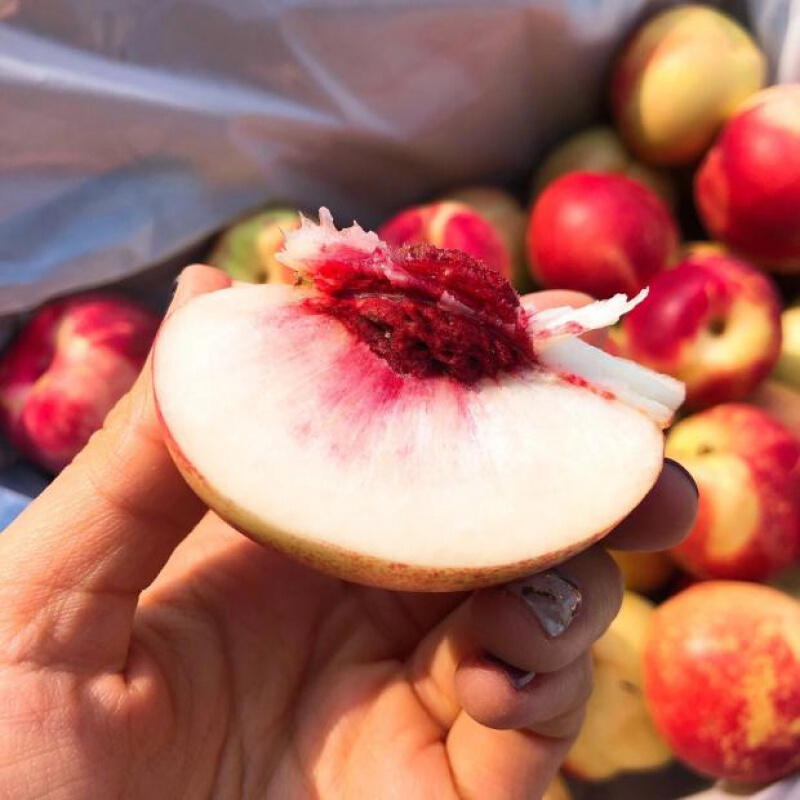 梦动珍珠枣油桃当季新鲜水果油桃脆甜白肉桃子生鲜礼盒团建活动送礼