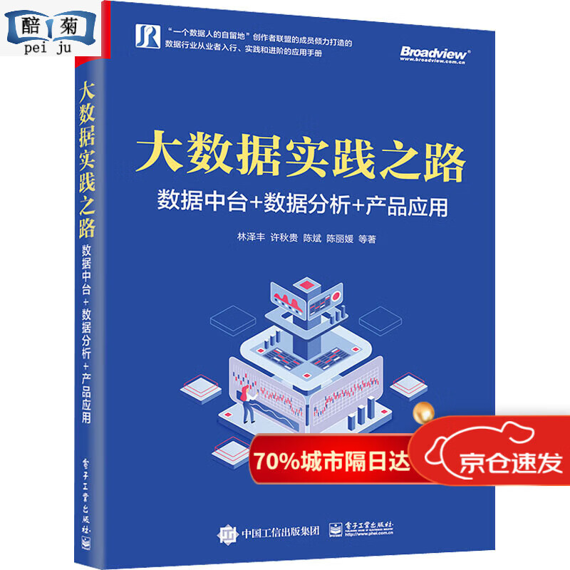 实践之路 数据中台++应用 林泽丰 等 
