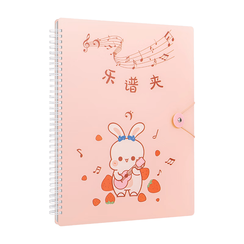 天色 A4/60頁(yè)莫蘭迪樂(lè)譜夾 譜夾子可修改資料冊(cè)文件夾不反光 吉他古箏譜夾子五線(xiàn)譜夾 TS-1663 粉色
