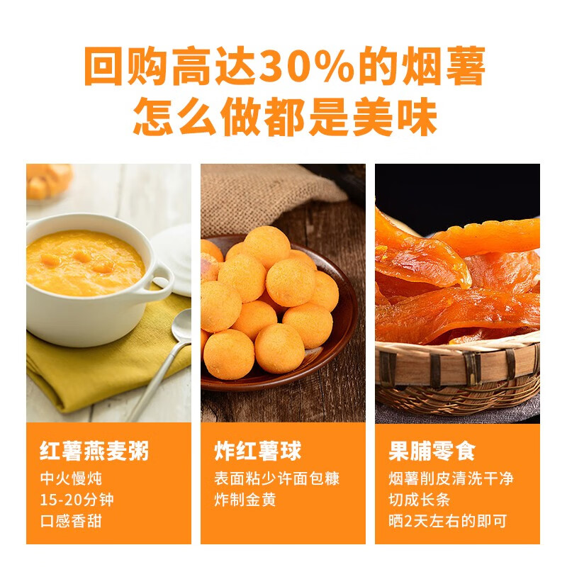 https://img14.360buyimg.com/pop/jfs/t1/73700/4/25951/144658/6424fcdaF53e91508/8fa76d293a9ff065.jpg