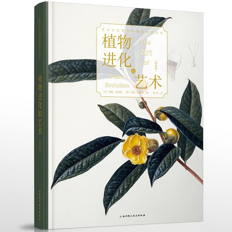 植物进化的艺术（典藏版）