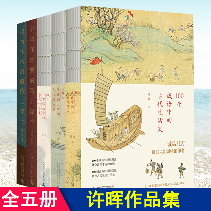 现货 全5册 许晖作品集 100个成语中