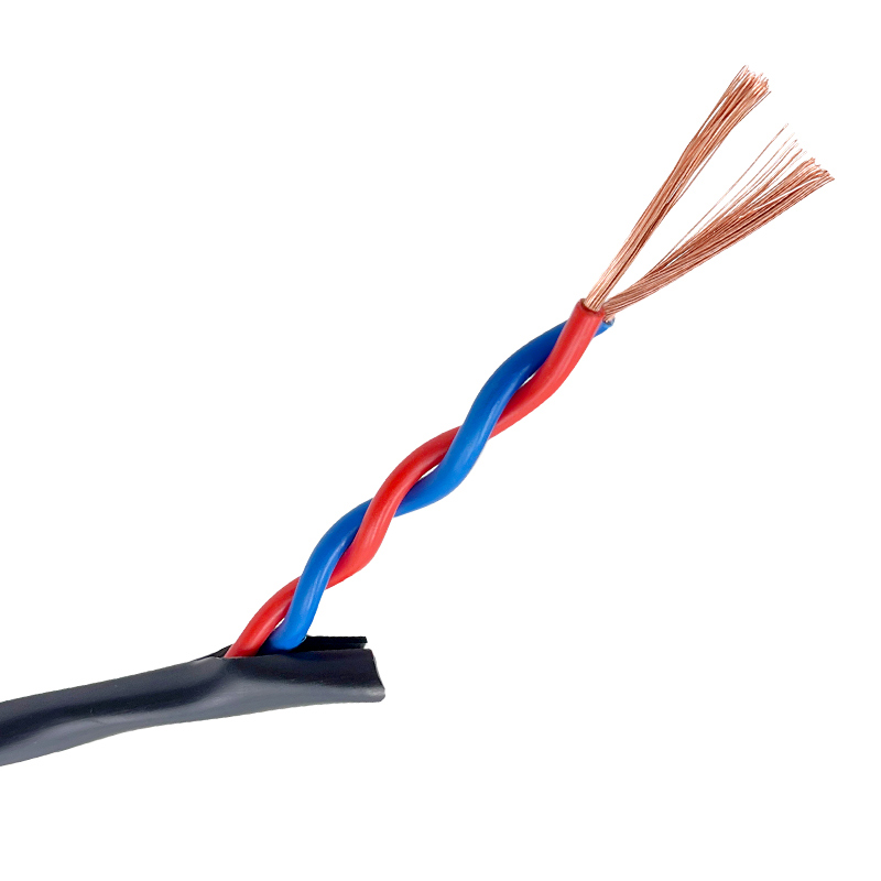 仁聚益护套线2.5铜芯rvvs国标二芯双绞护套线家用软电源线 2*0.3 20米