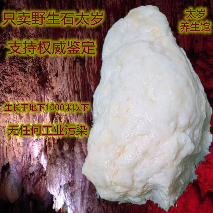 太岁特级纯白100克 溶洞肉灵芝食菌 石太岁 天然 100克  100克
