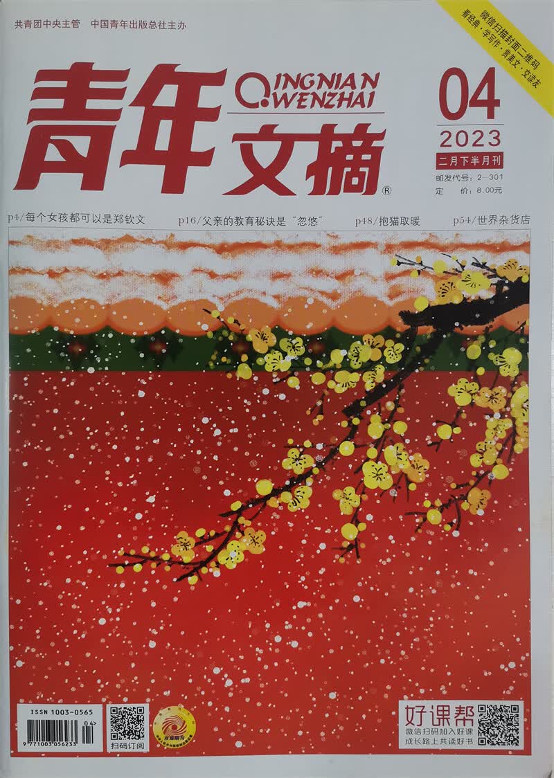 青年文摘 2023年2月下第4期 文学文摘期刊 中学生作文素材课外阅书籍
