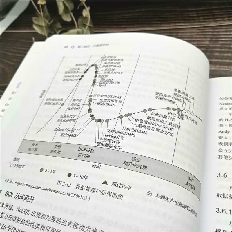 Greenplum：从大数据战略到实现详情图
