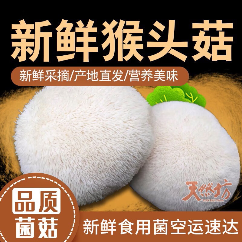 百年云松【天然坊】新鲜猴头菇【美味食用菌】八大山珍之一 火锅食材 1000克 京东折扣/优惠券