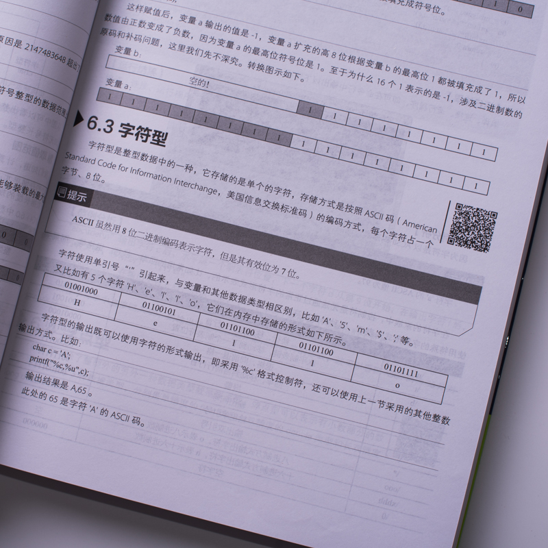 C语言从入门到精通 精粹版（异步图书出品）