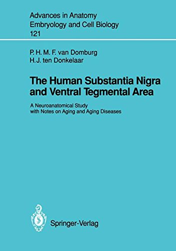 预订 the human substantia nigra and ventral tegmental area