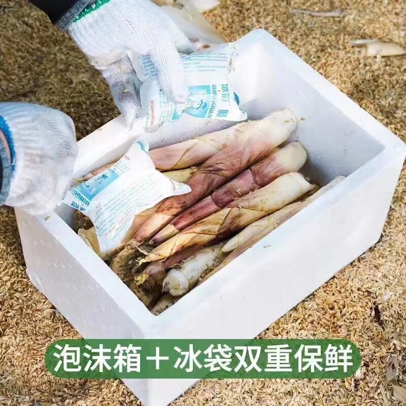 松林美果现挖现发四川蒲江明月村雷竹笋春笋加冰袋保鲜 净重4.5斤装（单根100g起）