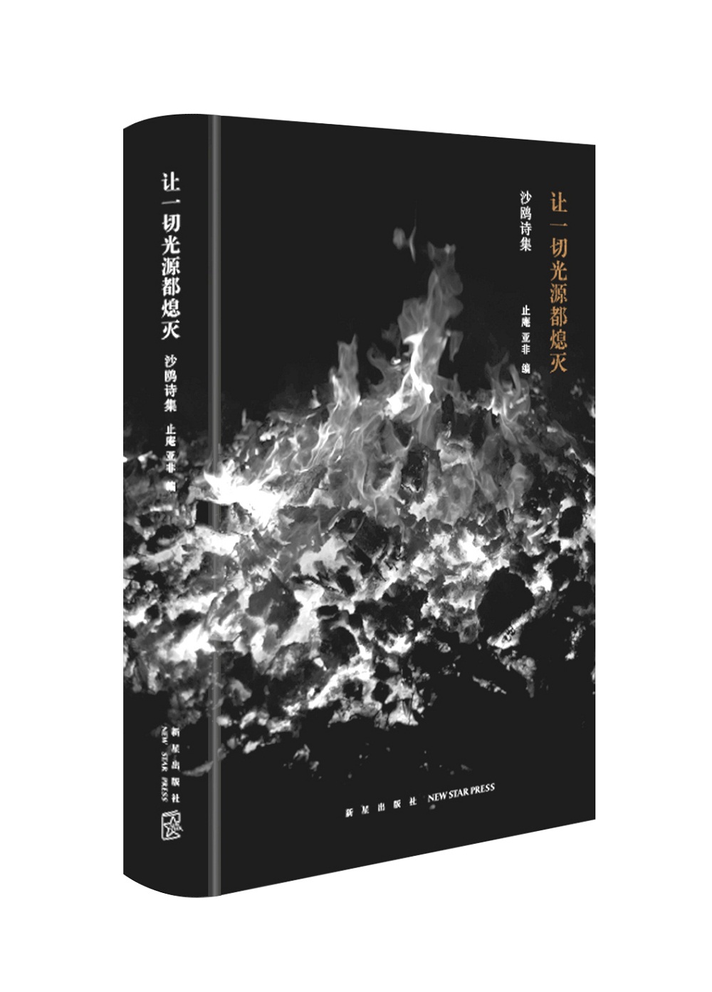 让一切光源都熄灭：沙鸥诗集