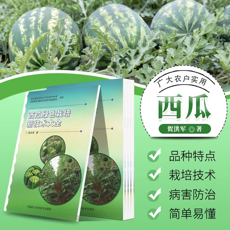 现货速发 西瓜绿色栽培新技术大全贺洪军编 高效西瓜种植技术大棚西瓜种植技术西瓜病虫害防治西瓜高产高效栽培新技术西瓜种植书