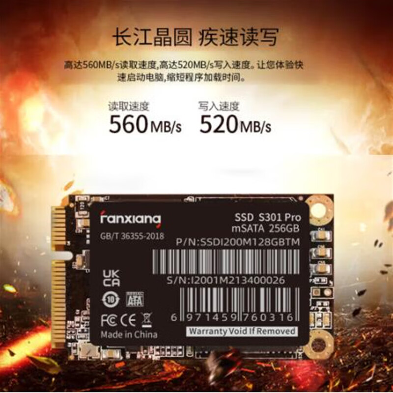 梵想（FANXIANG）（FANXIANG SSD固态硬盘 mSATA接口长江晶圆TLC颗粒 S301PRO 512GB