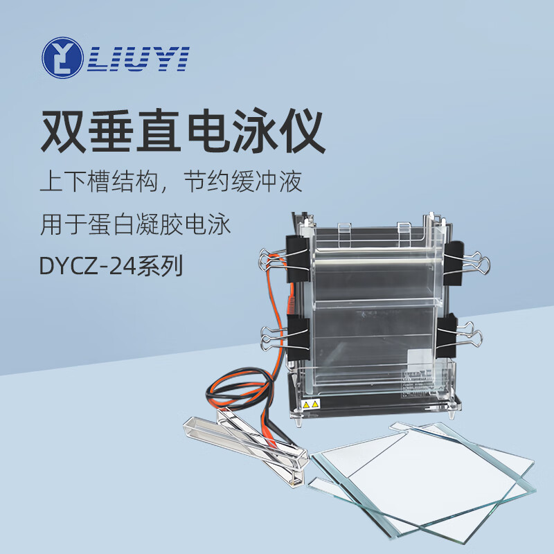 六一双垂直电泳仪dycz-24a实验室加宽蛋白凝胶电泳dycz-24b电泳槽