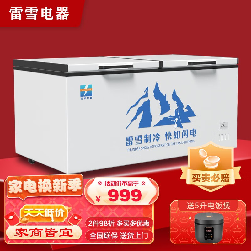 雪柜哪个品牌好(雪柜国产冰柜前十排名)