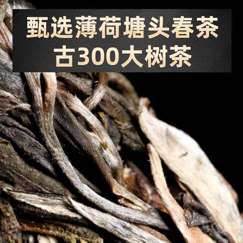 岩亥2023年早春茶古300易武薄荷塘古树生茶生普500g送礼 500g年