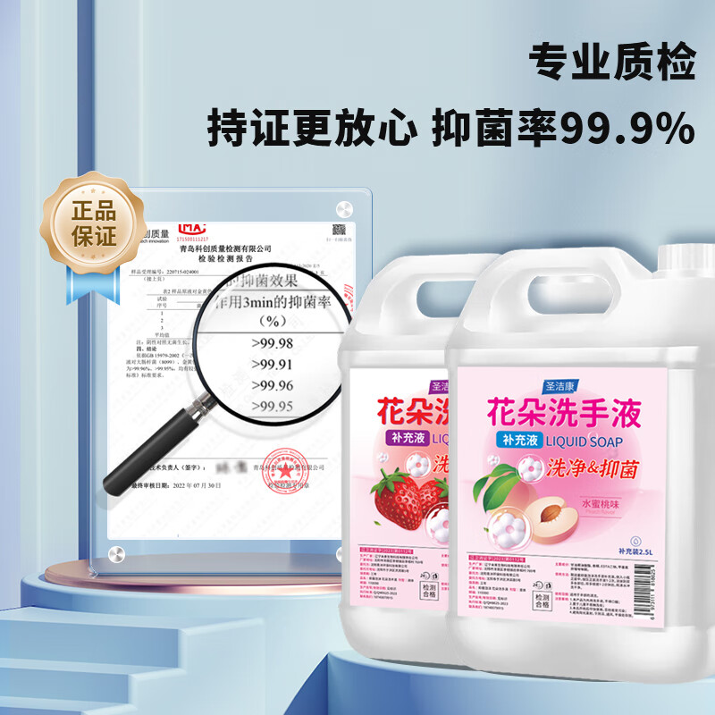 圣洁康 泡沫花朵洗手液清爽不刺激按洗手液按压式全家适用泡沫洗手液 【蜜桃味】补充液2.5L+花朵正装300ml