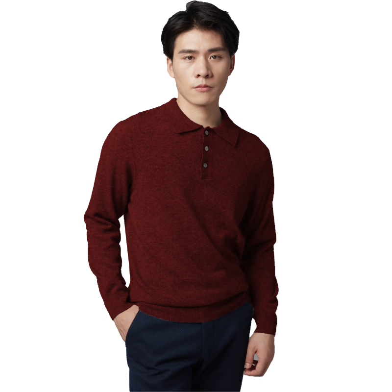 雪蓮（SNOW LOTUS）新款男士翻領(lǐng)襯衫領(lǐng)針織衫羊絨衫男 G2A4 115