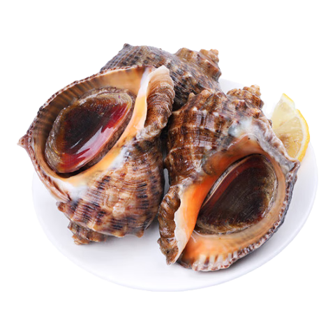 Ϸ ʻൺʻ źкźСش ش 1500g 9-12ֻ174Ԫ2(87Ԫ/)