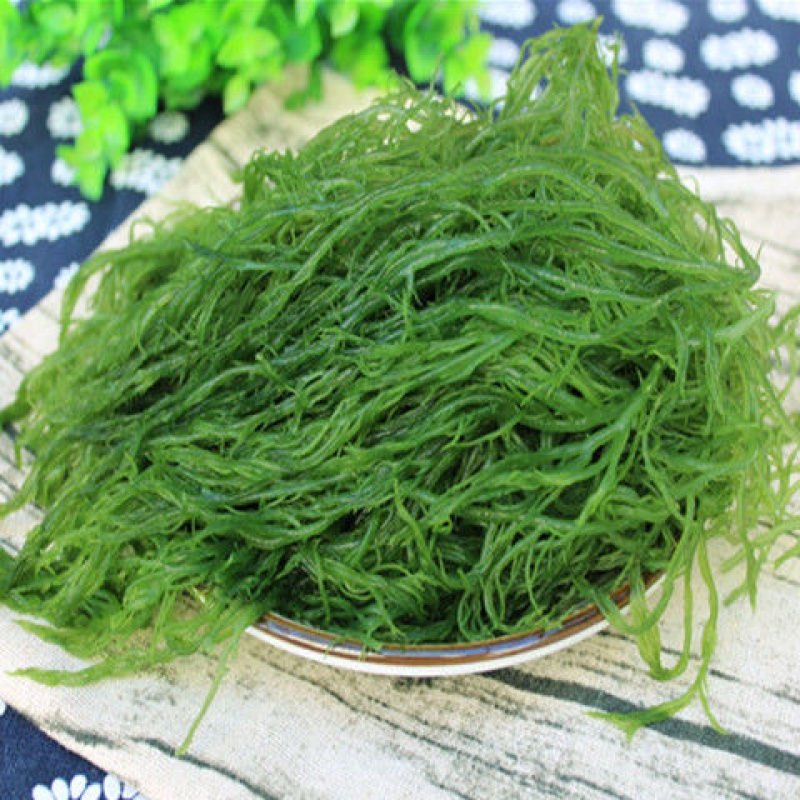 鲜木龙须菜海菜石花菜食材发菜长寿海草海产品 鲜木鲜木 5斤
