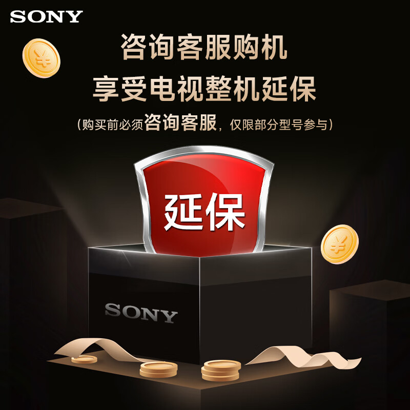 索尼电视（SONY）1元秒杀特殊惊喜福利，购买此权益前必咨询客服，多拍无效！（非商品 虚拟物品不发货）