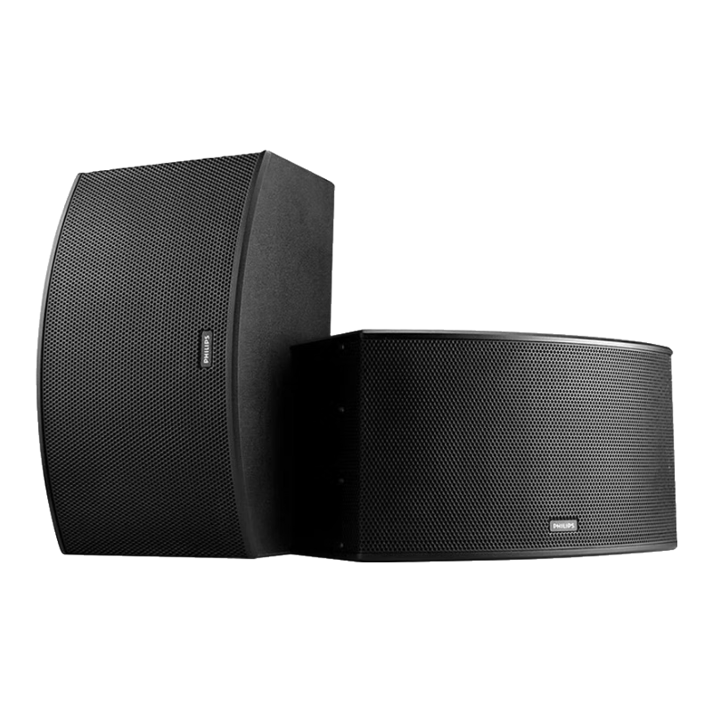 飛利浦（PHILIPS）CSS1310D10KTV音響設(shè)備專業(yè)卡包無(wú)源音箱家庭影院電視音箱設(shè)備