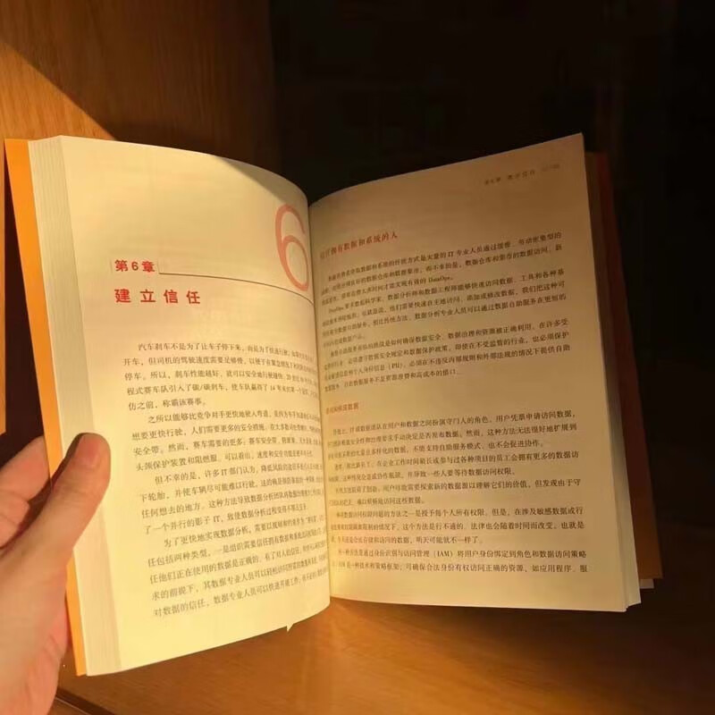 DataOps实践手册：敏捷精益的数据运营 数字经济 数字化转型详情图