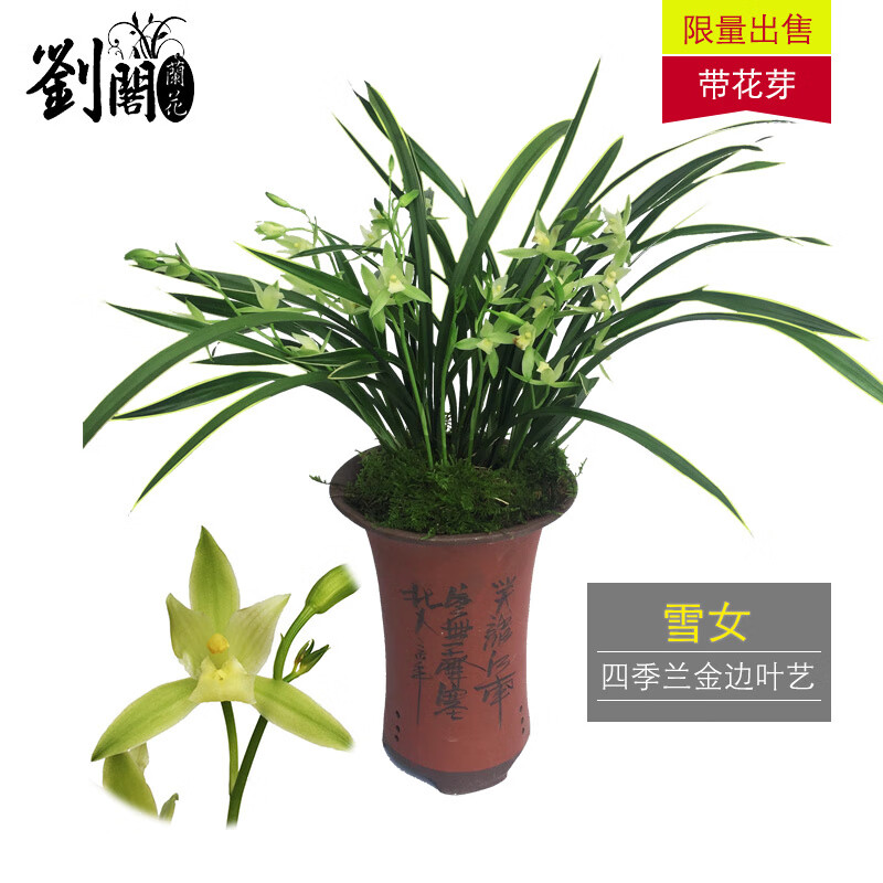 花园植物价格走势统计|花园植物价格比较