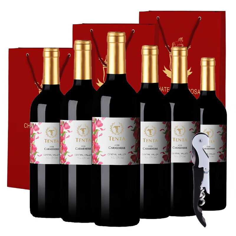 天帕（TENTA）智利中央山谷原瓶原装进口花标卡曼尼葡萄酒红酒干红750ml*6瓶 整箱6瓶装