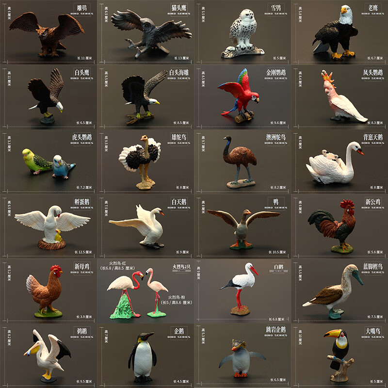帝蓝尼鸟类模型实心儿童动物模型套装飞禽动物玩具天鹅老鹰鹦鹉天鹅