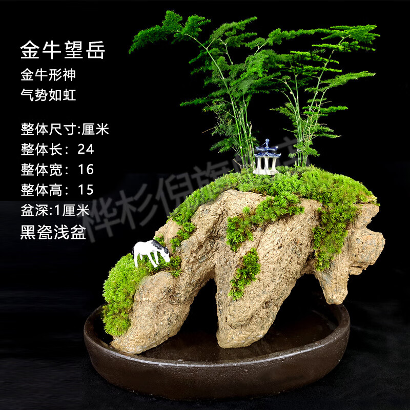 珂楚吸水石盆景假山家用 天空.